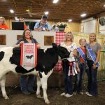 Reserve champion dairy beef feeder.