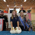 Reserve champion ducks