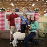Reserve champion goat