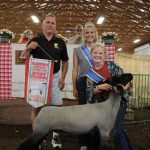 Reserve champion lamb