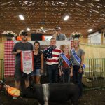 Reserve champion hog
