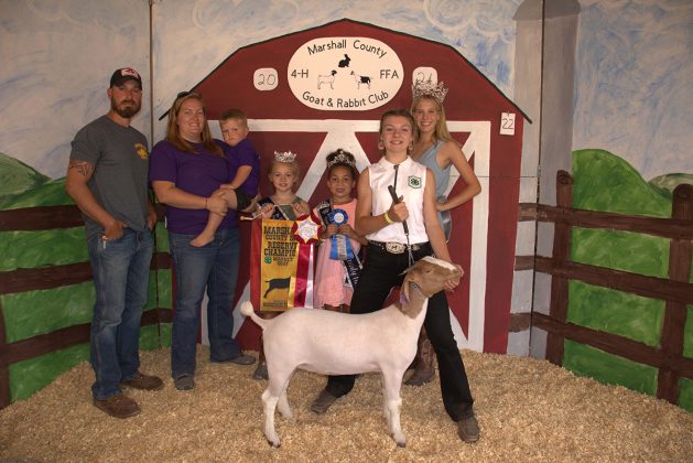 Reserve Champion Market Goat