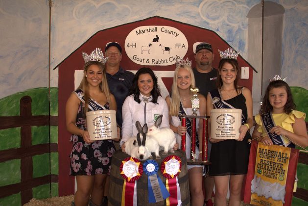 Reserve Champion Market Rabbits