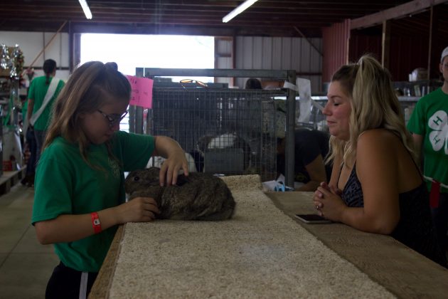 A girl practices showing a rabbit with her mom at a fair.