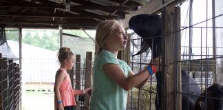 Two girls pet goats at a fair.