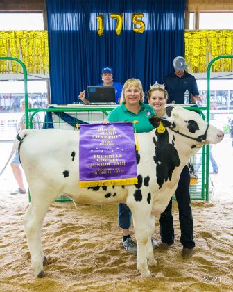 Grand Champion Dairy Feeder