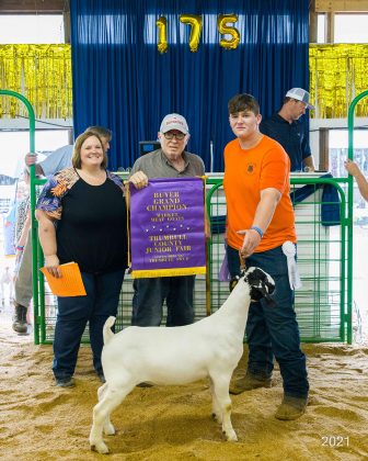 Grand Champion Market Goat