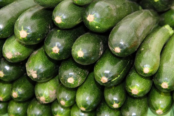 zucchini zucchini