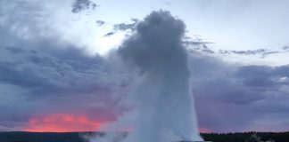 Old Faithful