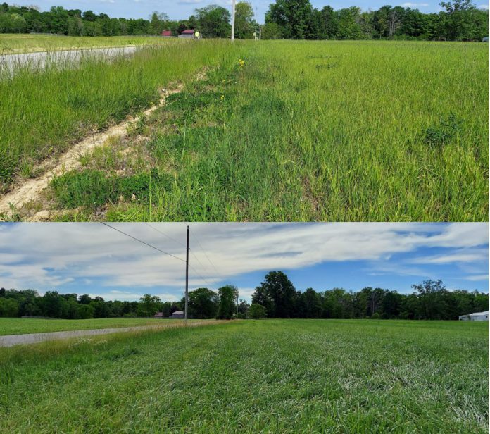 pasture pasture