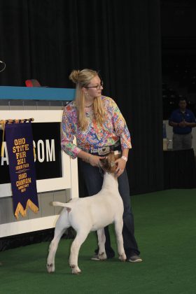 Grand Champion Market Goat