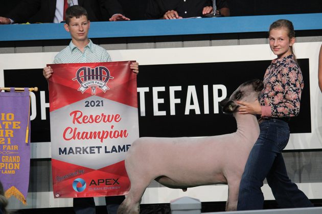 Reserve Champion Market Lamb