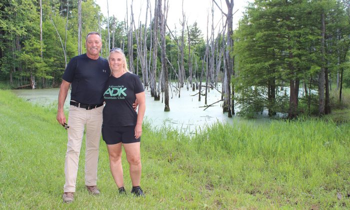 wooded wetland