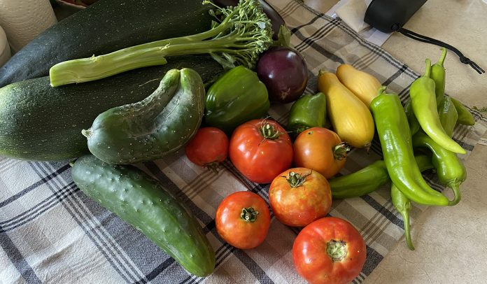 Garden produce Garden produce