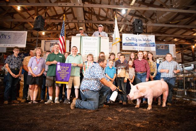 Charity Hog
