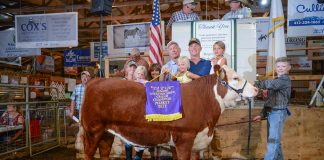 Grand Champion Market Beef