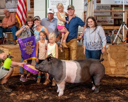 Grand Champion Market Hog