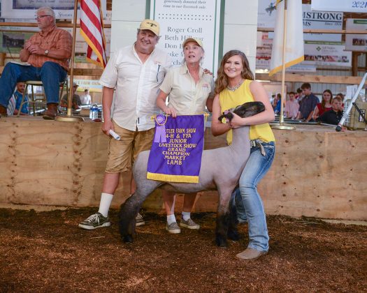 Grand Champion Market Lamb