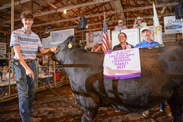 Reserve Champion Market Beef