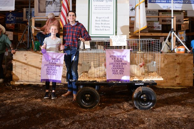 Reserve Champion Poultry Pen