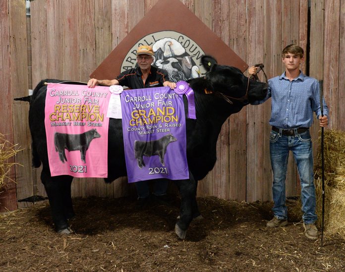 Reserve Champion Market Steer Reserve Champion Market Steer