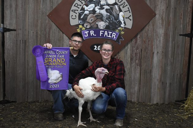 Grand Champion Market Turkey