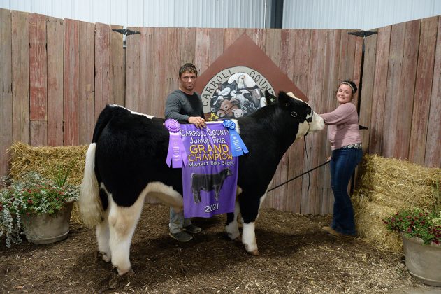 Grand Champion Market Steer