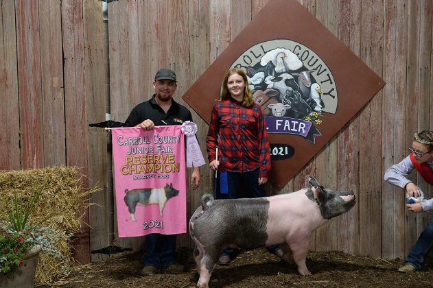 Reserve Champion Market Hog