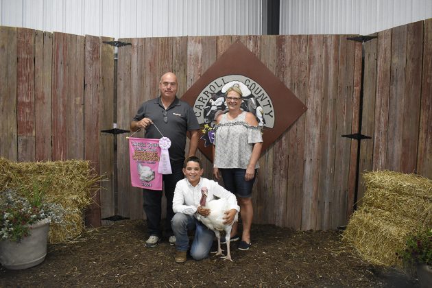 Reserve Champion Market Turkey