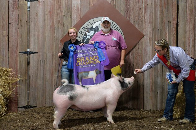 Grand Champion Market Hog