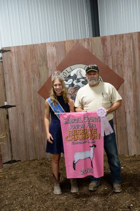 Reserve Champion Carcass Lamb