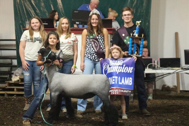 Grand Champion Lamb