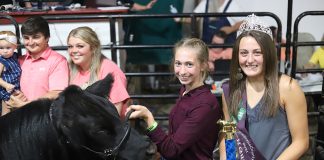 Grand Champion Market Steer