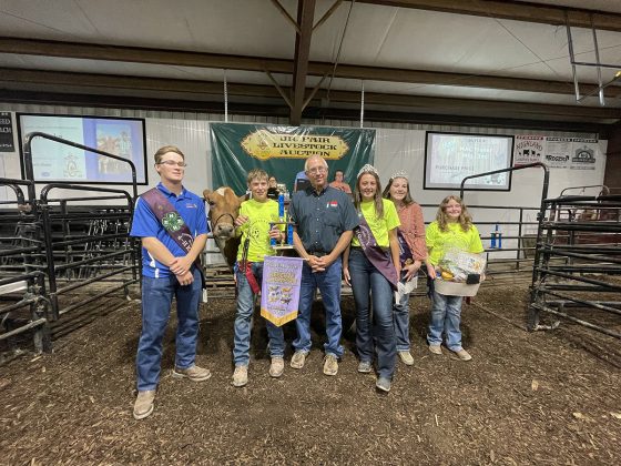 Reserve Champion Cheese