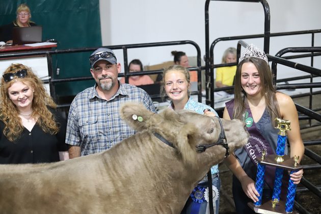 Reserve Champion Market Steer