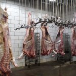 meat processing meat locker