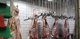 meat in hooks