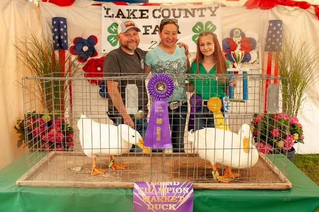 Grand Champion Ducks