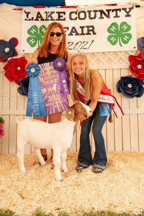 Grand Champion Goat