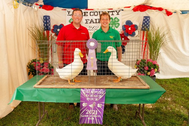 Reserve Champion Ducks