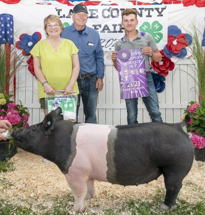 Reserve Champion Gilt