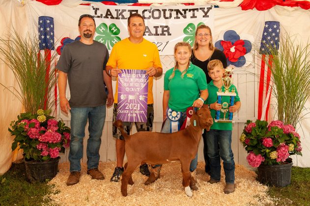 Reserve Champion Goat