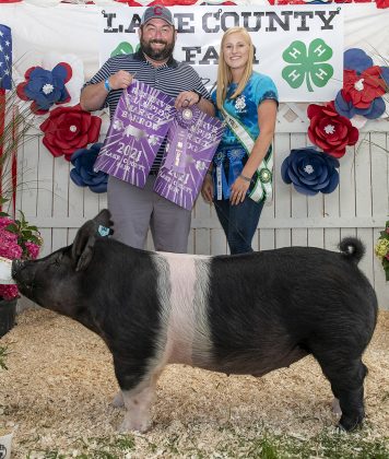 Reserve Champion Barrow