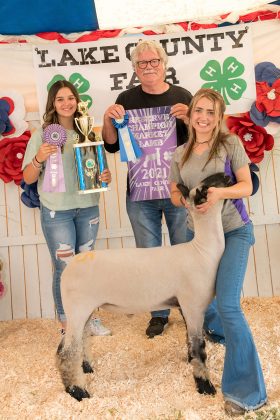 Reserve Champion Lamb