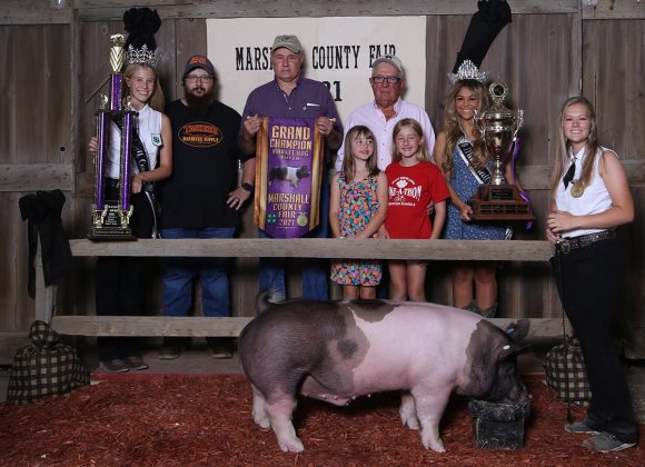 Grand Champion Hog