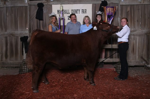 Grand Champion Steer