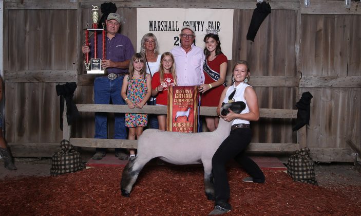 Reserve Champion Lamb