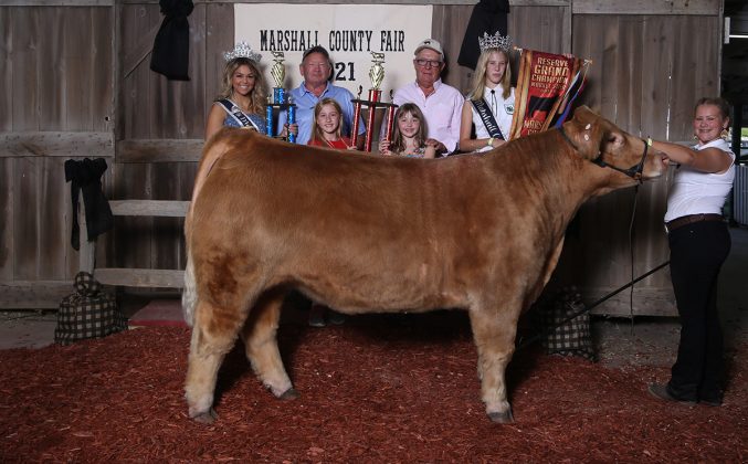 Reserve Champion Steer