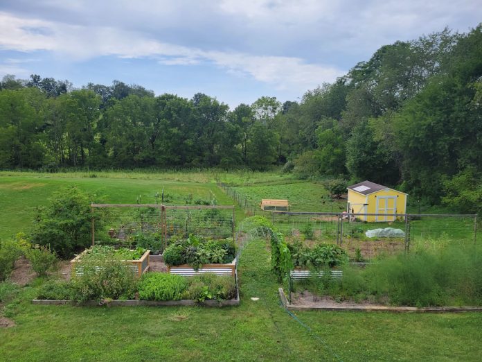 melody-acres-2 homesteading garden