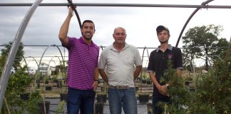 Three men stand near hemp plants growing in pots in a hoophouse.
